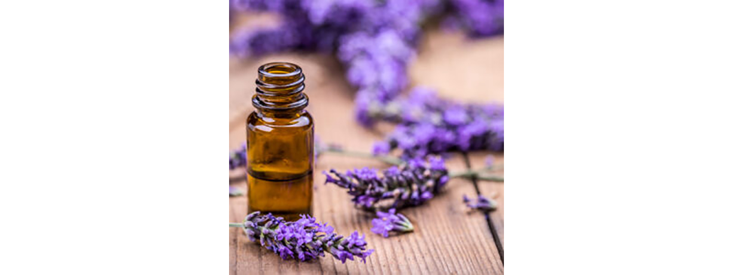 Lavender Oil ISO Standard FAQ