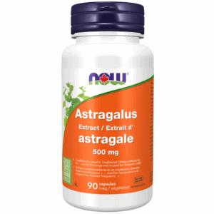 Astragalus Extract 500 mg Veg Capsules