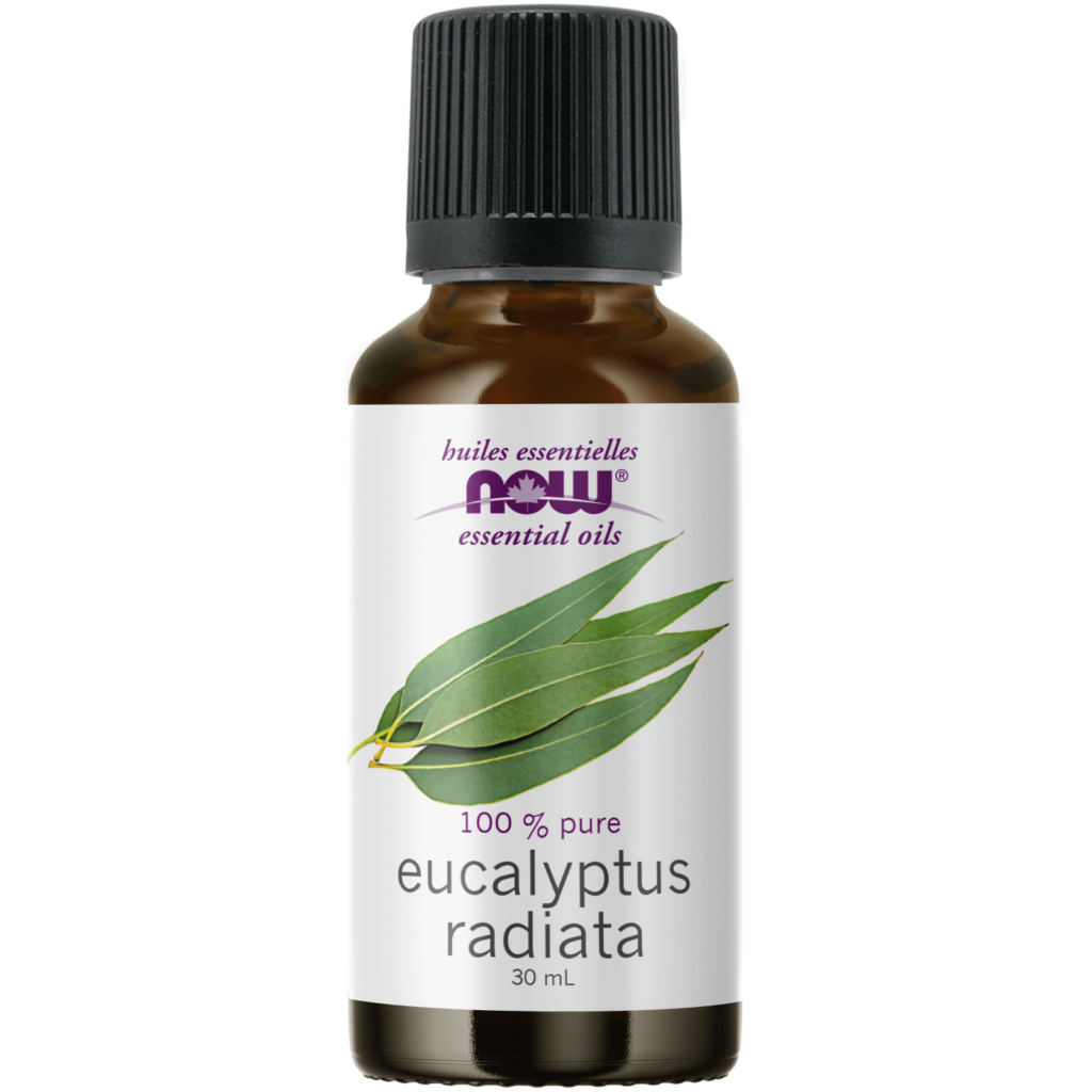 Eucalyptus Radiata Oil Now Foods Canada