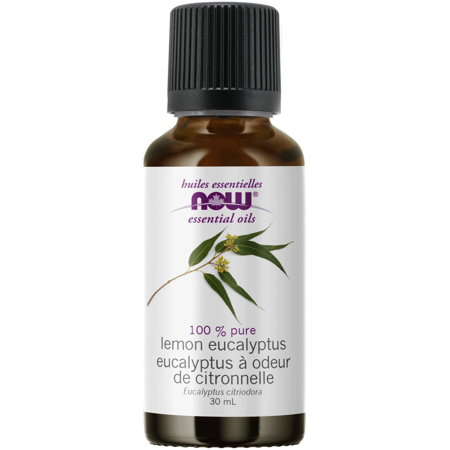 Lemon Eucalyptus Oil - Now Foods Canada