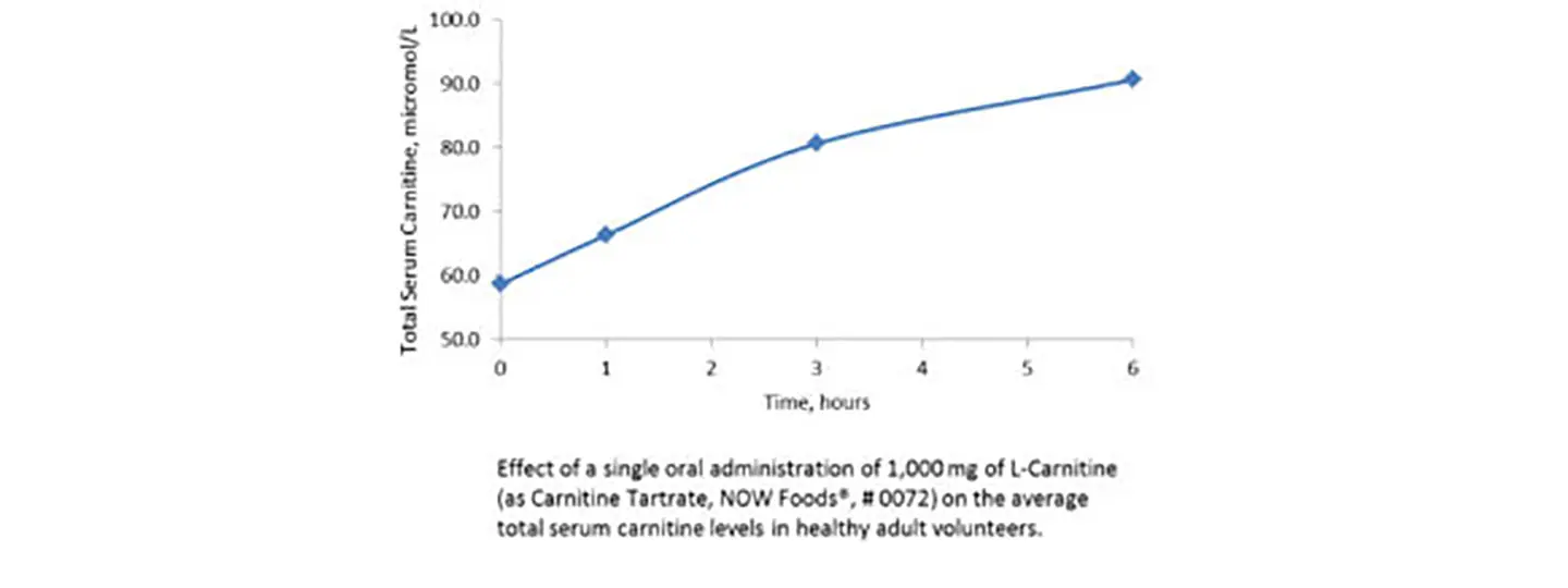 L-Carnitine 500 mg – Bioavailability Study