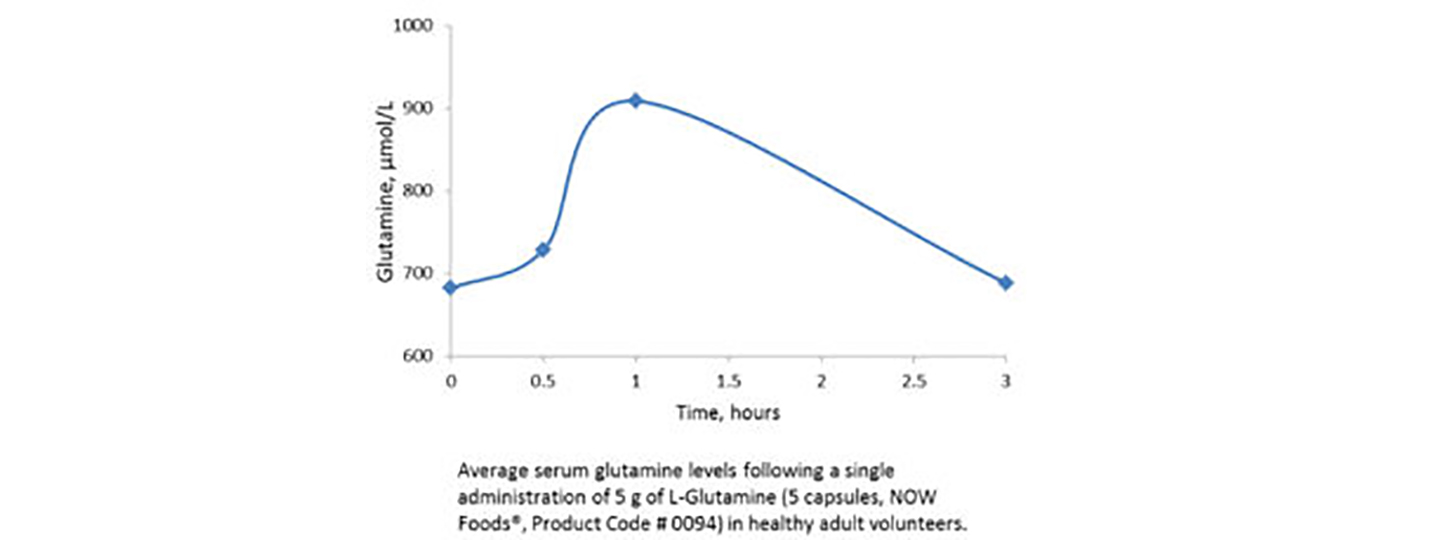 L-Glutamine 1000 mg Bioavailability Study