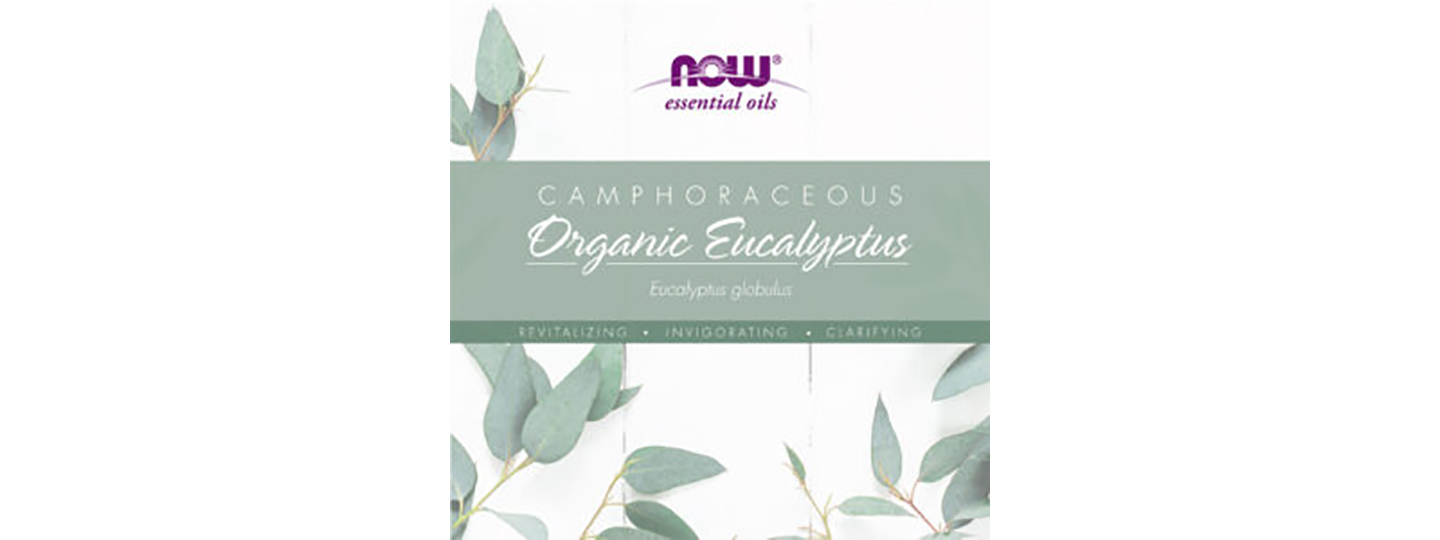 Infographics: The Camphoraceous Aroma Family of Essential Oils