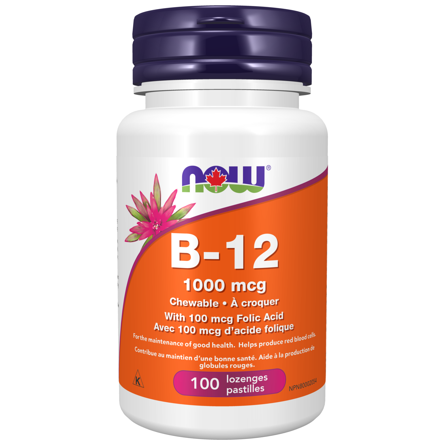 OralBiotic™ Probiotic Lozenges - Now Foods Canada