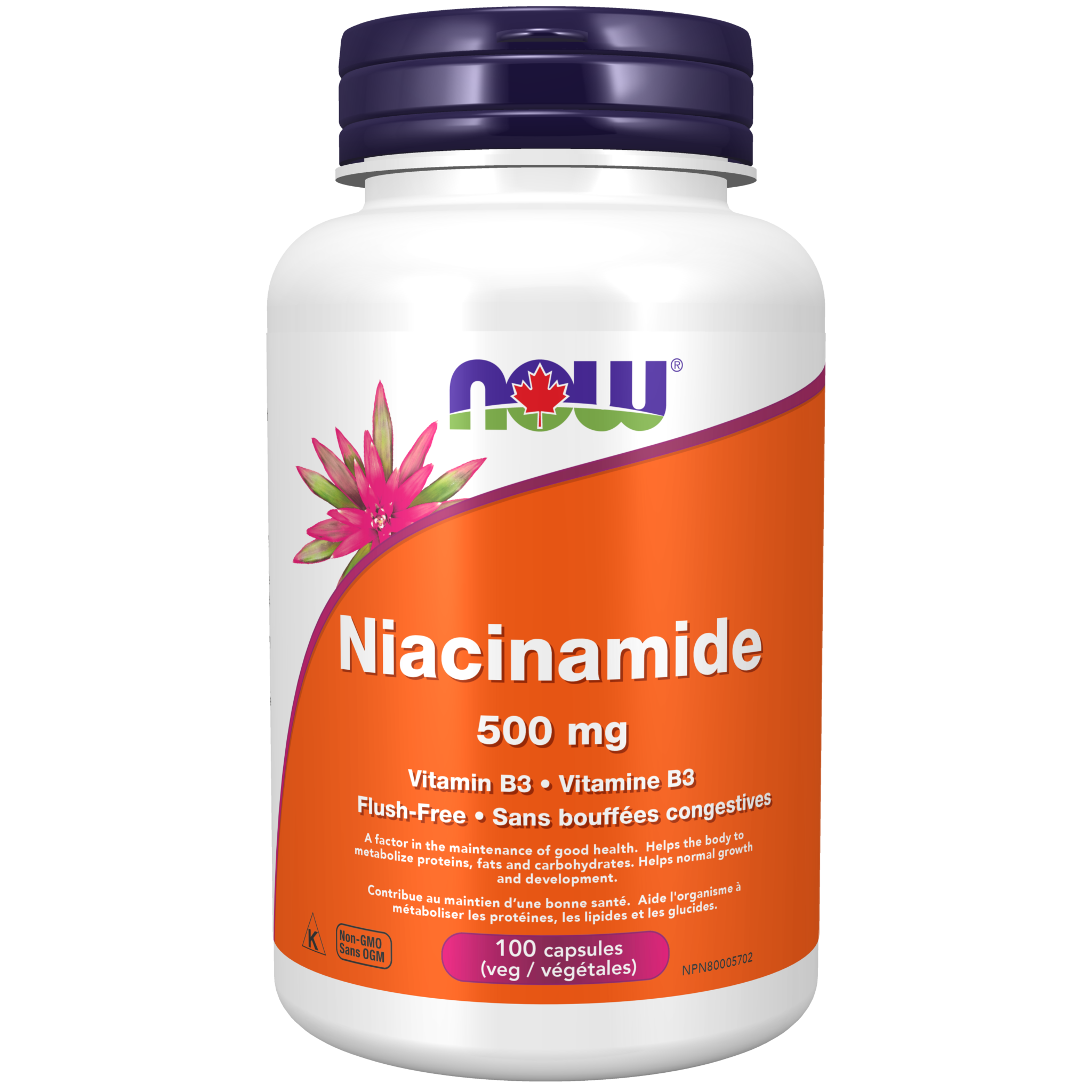 Niacinamide 500 mg Veg Capsules Now Foods Canada