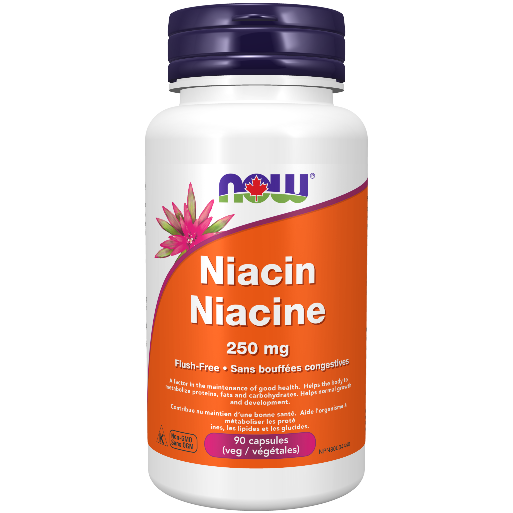 Niacinamide 500 mg Veg Capsules - Now Foods Canada