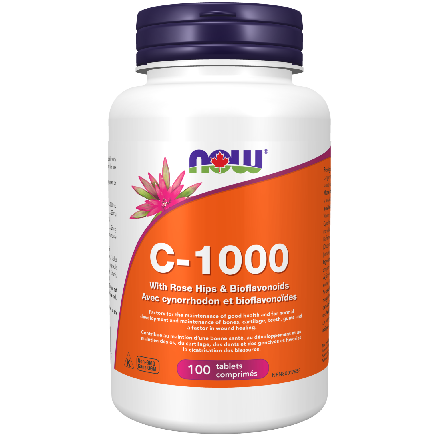 neurontin adult dosage