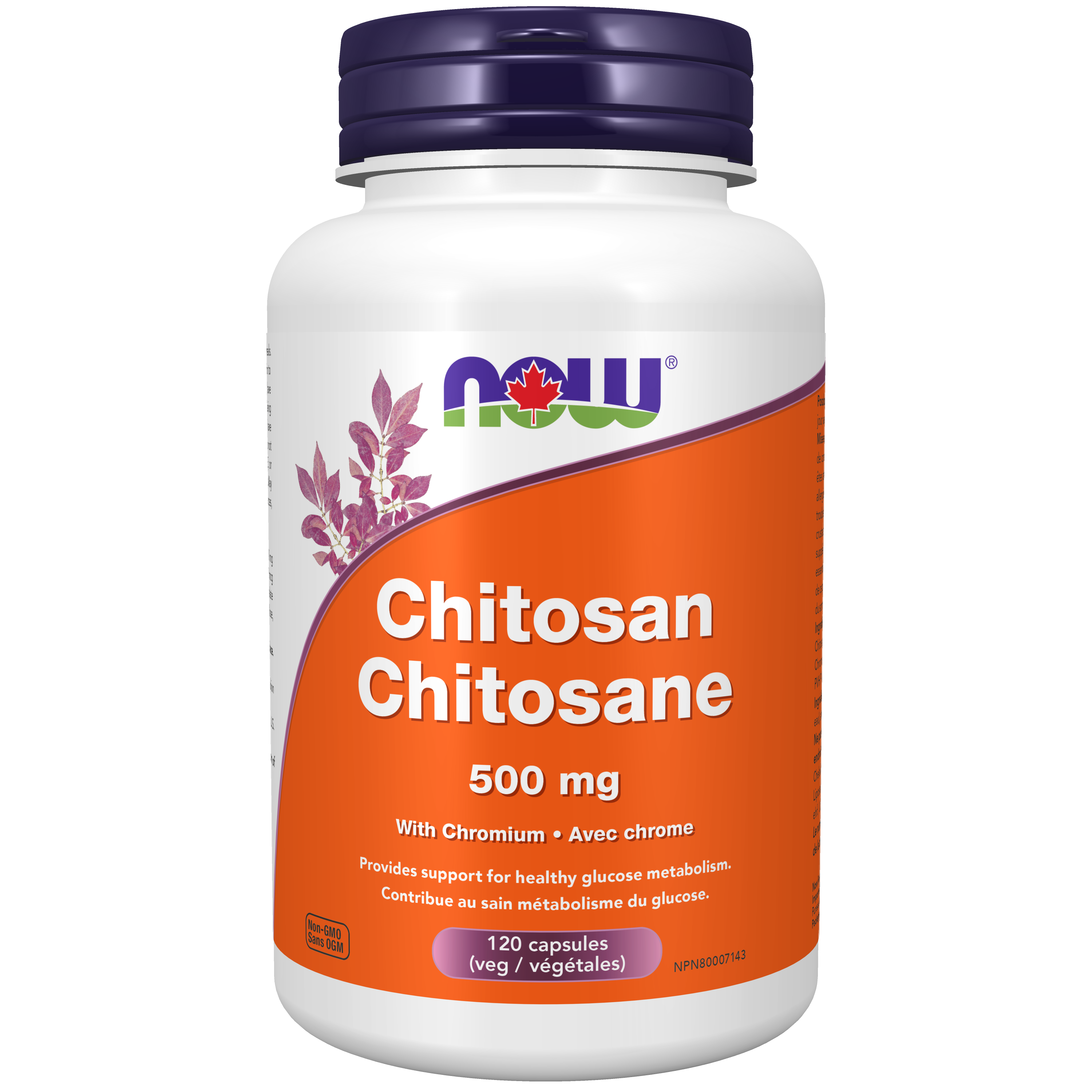 Chitosan for metabolism