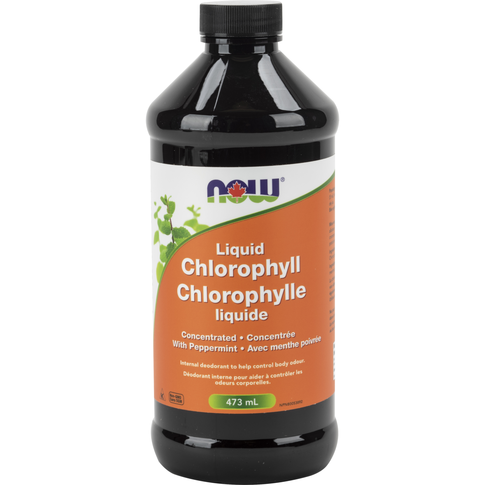Liquid Chlorophyll Peppermint Now Foods Canada
