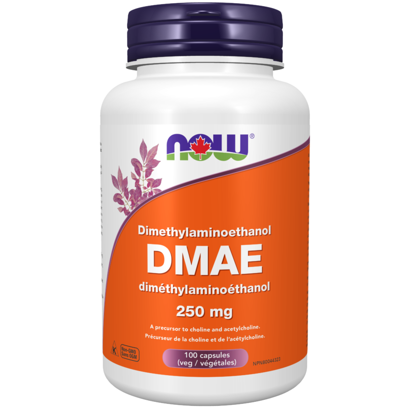 DMAE 250 mg Veg Capsules Now Foods Canada