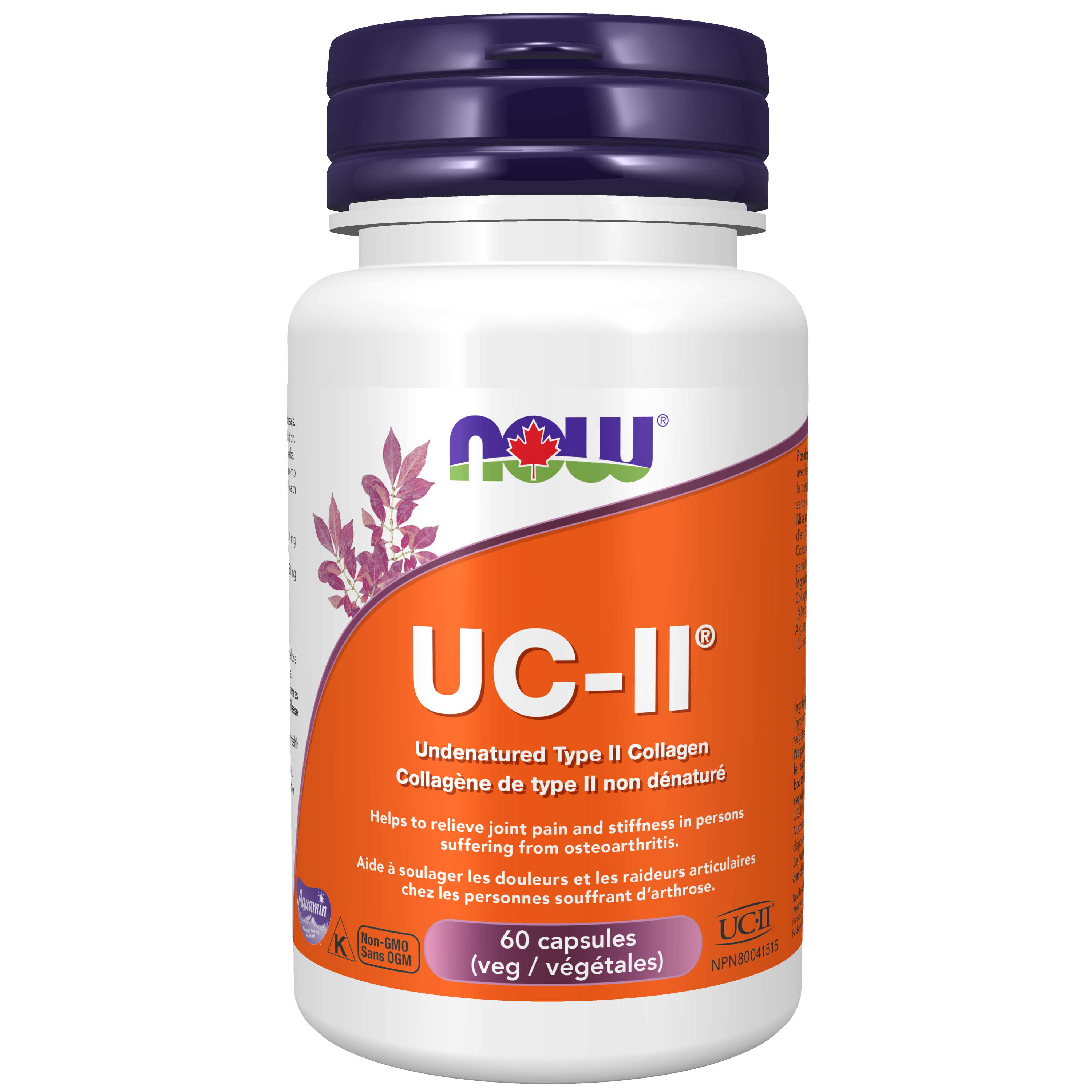 UC-II® Undenatured Collagen 40 mg - Now Foods Canada