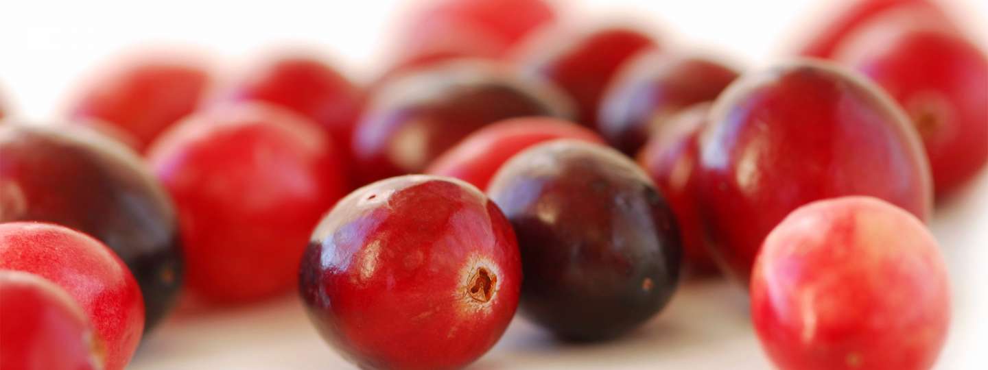 Clinical Strength Cranberry Extract FAQs