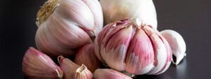 More About Supplemental Garlic