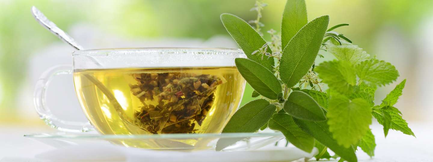 More About Green Tea