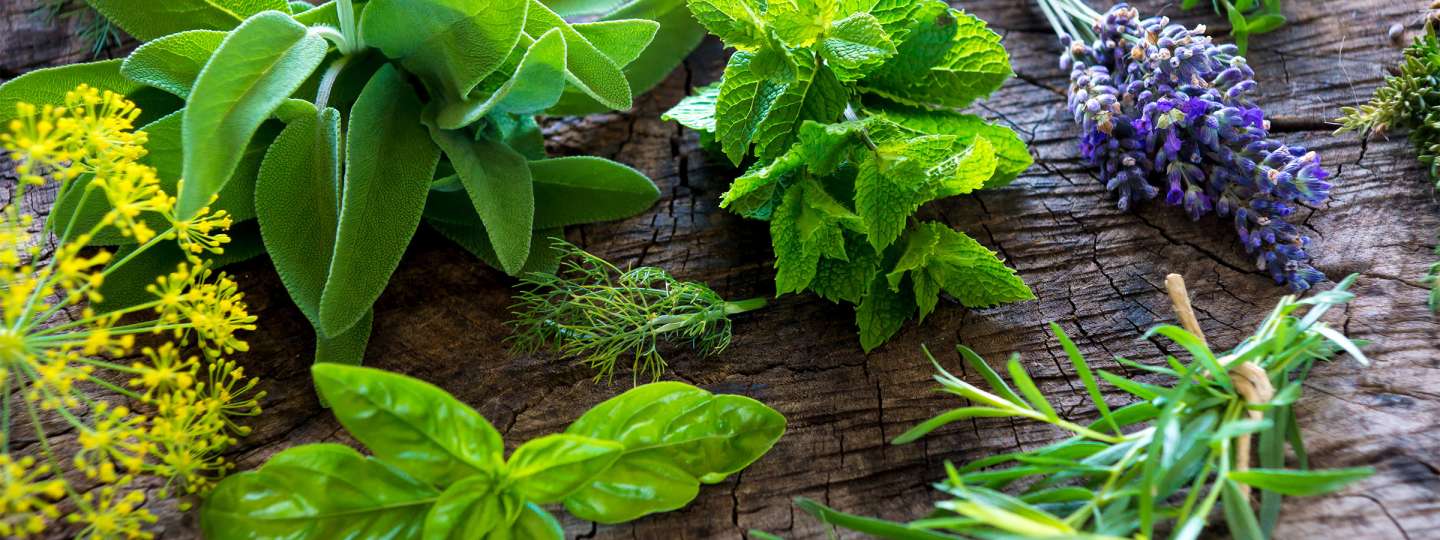 More About Whole Herbs