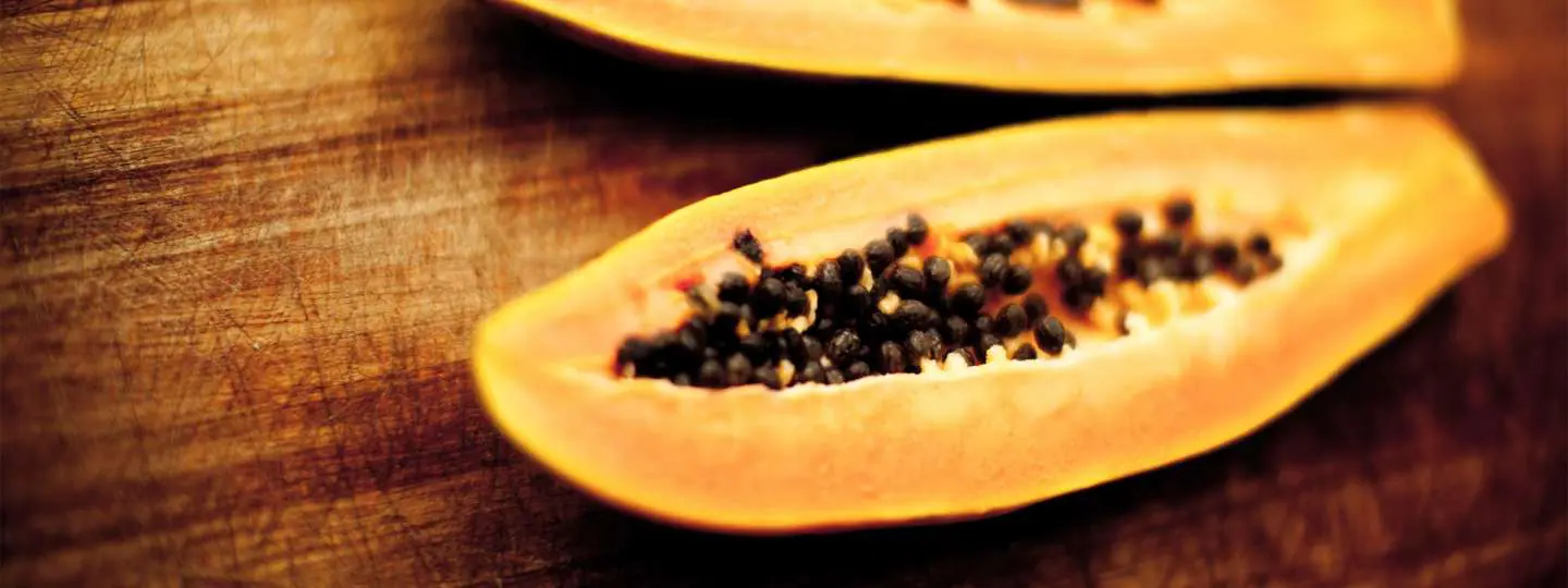 Papaya Enzymes FAQs