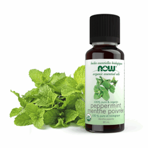 Huiles au parfum de menthe