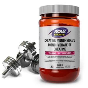 Développement de la masse musculaire